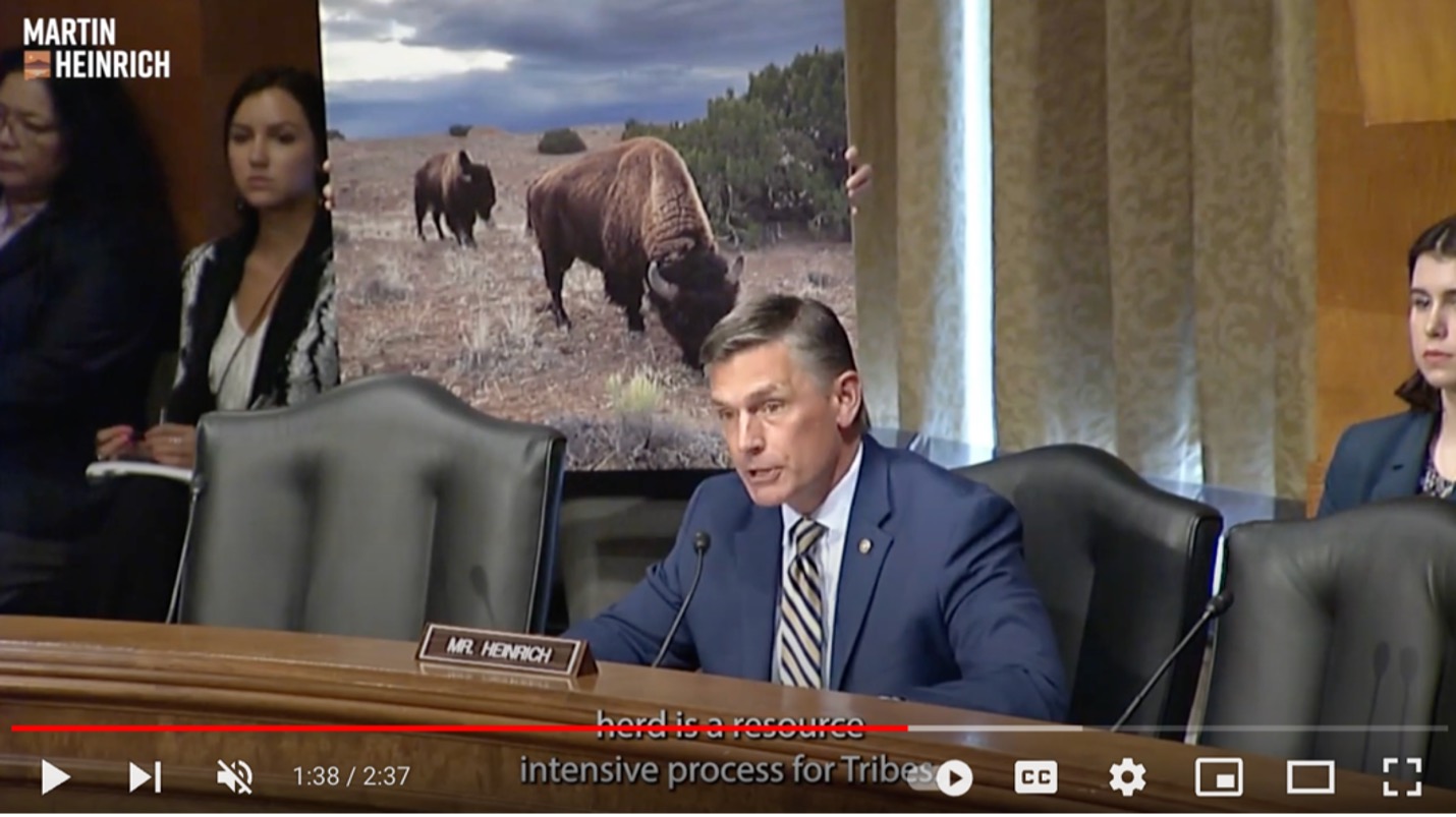 Buffalo Act Hearing