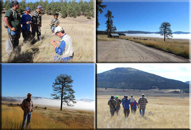 VallesCaldera_Eblast_10102015